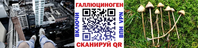 Галлюциногенные грибы Psilocybine cubensis  где найти наркотики  Уяр 